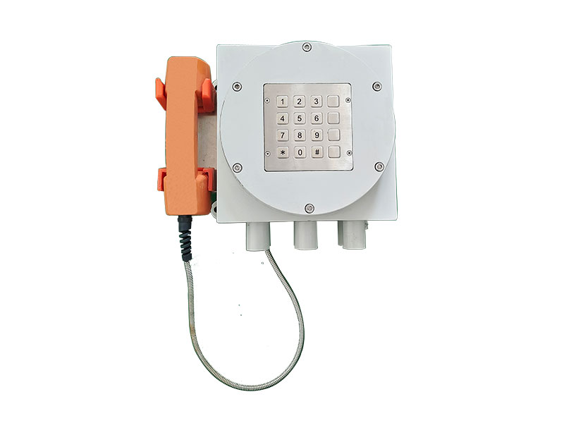 01(AEX-TS防爆話站)